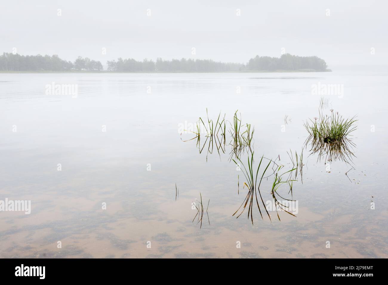 Die Natur von Belarus, ein ruhiger, wolkiger Sommertag auf dem Vileika-Stausee Stockfoto