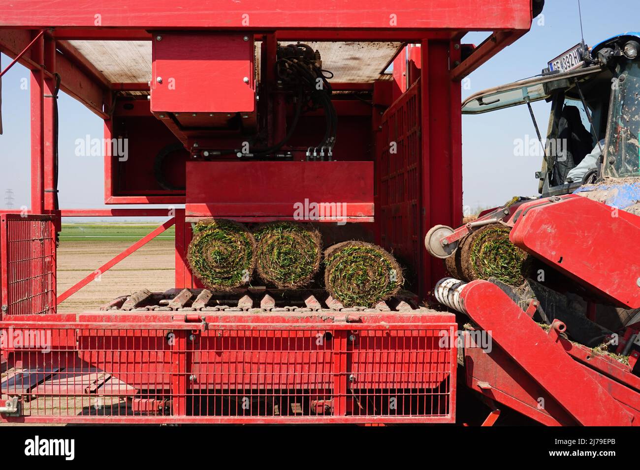 Marchfeld, Aderklaa, Landwirtschaft Iser, Anbau von Rollrasen // Marchfeld, Aderklaa, Farmer Iser, Rollrasen Stockfoto