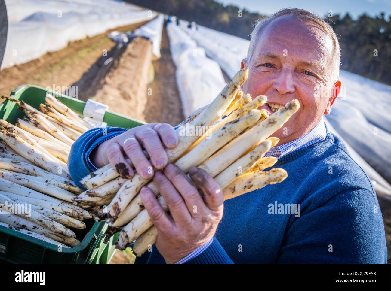 26. April 2022, Mecklenburg-Vorpommern, Nantrow: Till Backhaus (SPD), Minister für Landwirtschaft, Umwelt und Klimaschutz Mecklenburg-Vorpommerns, riecht zum offiziellen Start der Spargelsaison 2022 in Mecklenburg-Vorpommern ein Paket frisch geschnittenen Spargels. Der Betrieb in Nandrow bei Wismar beschäftigt sieben feste Mitarbeiter sowie bis zu 50 Saisonarbeiter und erntet das Polgemüse auf rund 20 Hektar. In Mecklenburg-Vorpommern haben 2021 insgesamt 15 Betriebe 648 Tonnen Spargel auf einer Fläche von 166 Hektar geerntet. Foto: Jens Büttner Stockfoto