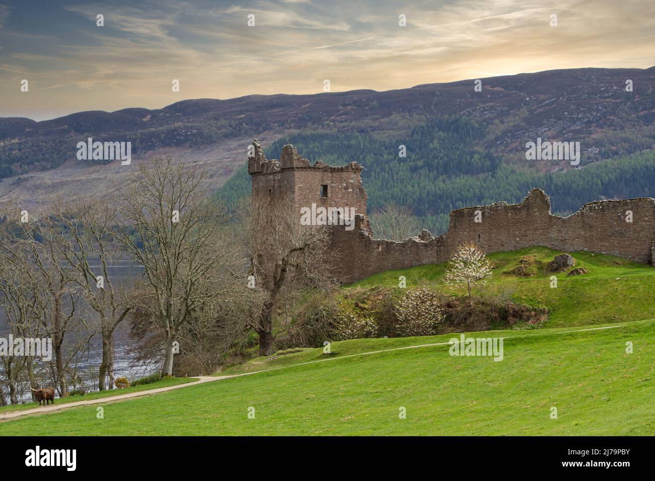 Urquhart Castle, Schottische Highlands Stockfoto