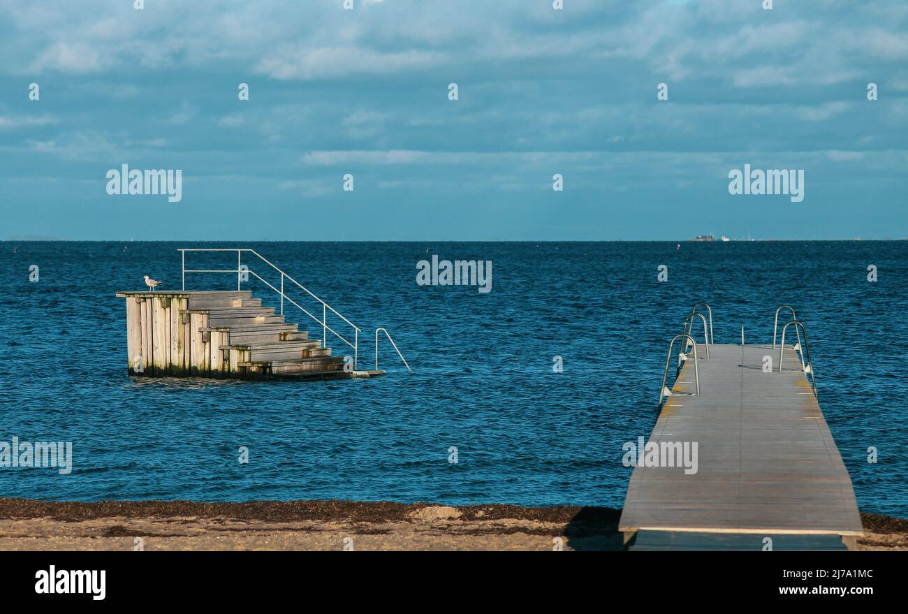 Beliebter Strand von Amager in Kopenhagen Dänemark Stockfoto