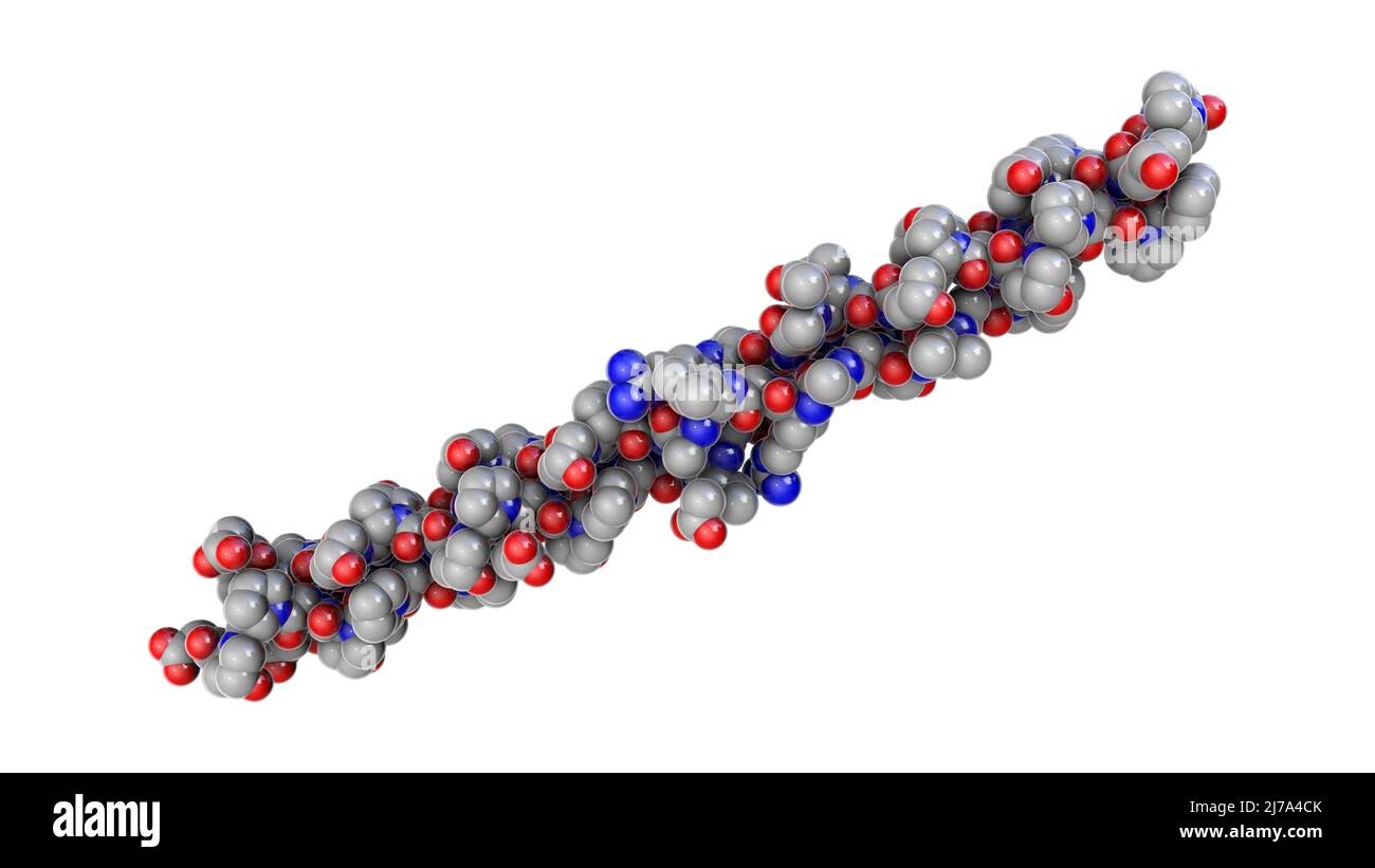 Kollagen-Protein-Molekül, Illustration Stockfoto