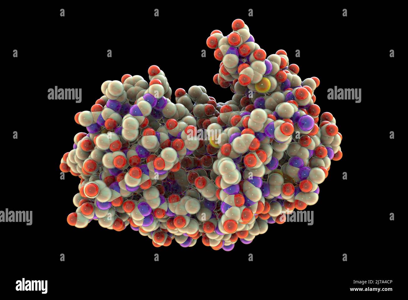 pepsin-enzyme-molecule-digestive-enzyme-fotos-und-bildmaterial-in
