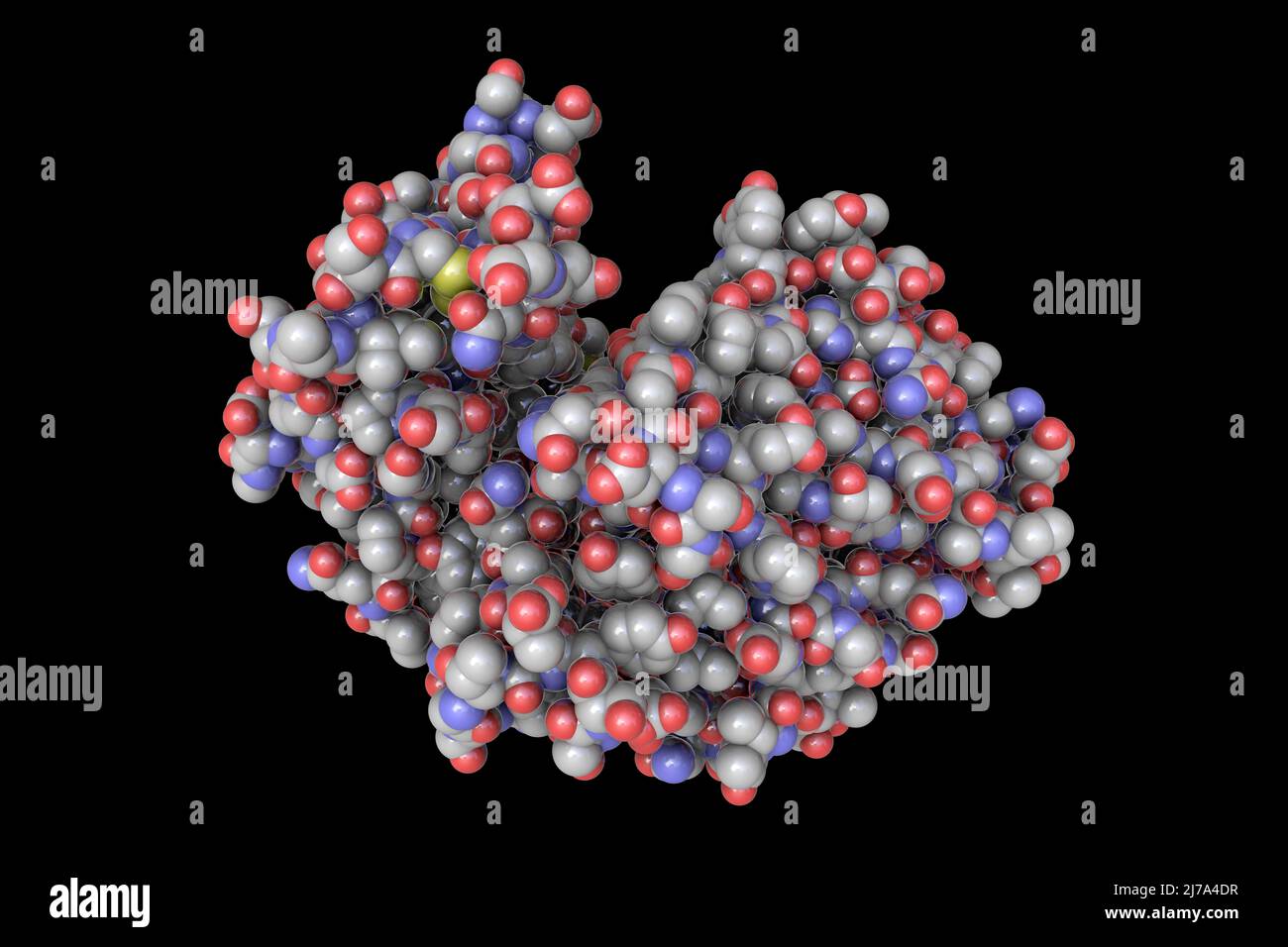 pepsin-enzyme-molecule-digestive-enzyme-fotos-und-bildmaterial-in
