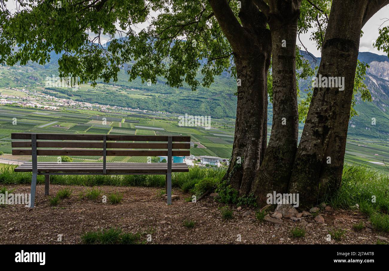 Weinberge Trentino Alto Adige Südtirol , Provinz Bozen, Italien. Frühlingslandschaft. südtiroler Weinstraße, Südtiroler Weinstraße. Stockfoto