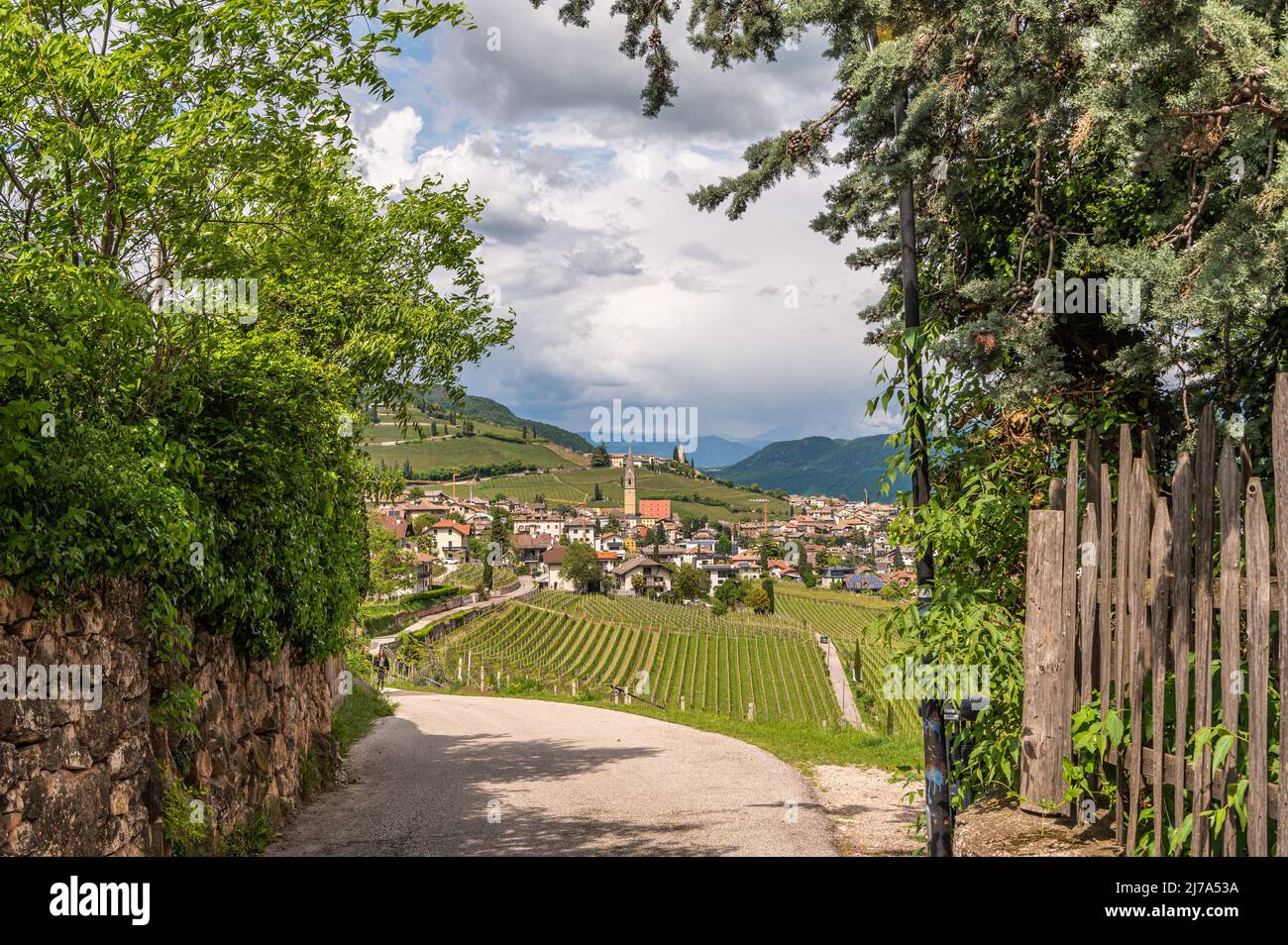 Blick auf das Dorf Tramin entlang der Weinrote. Tramin ist das Weinbaudorf Südtirols - Norditalien - und seine Geschichte ist stark kontra Stockfoto