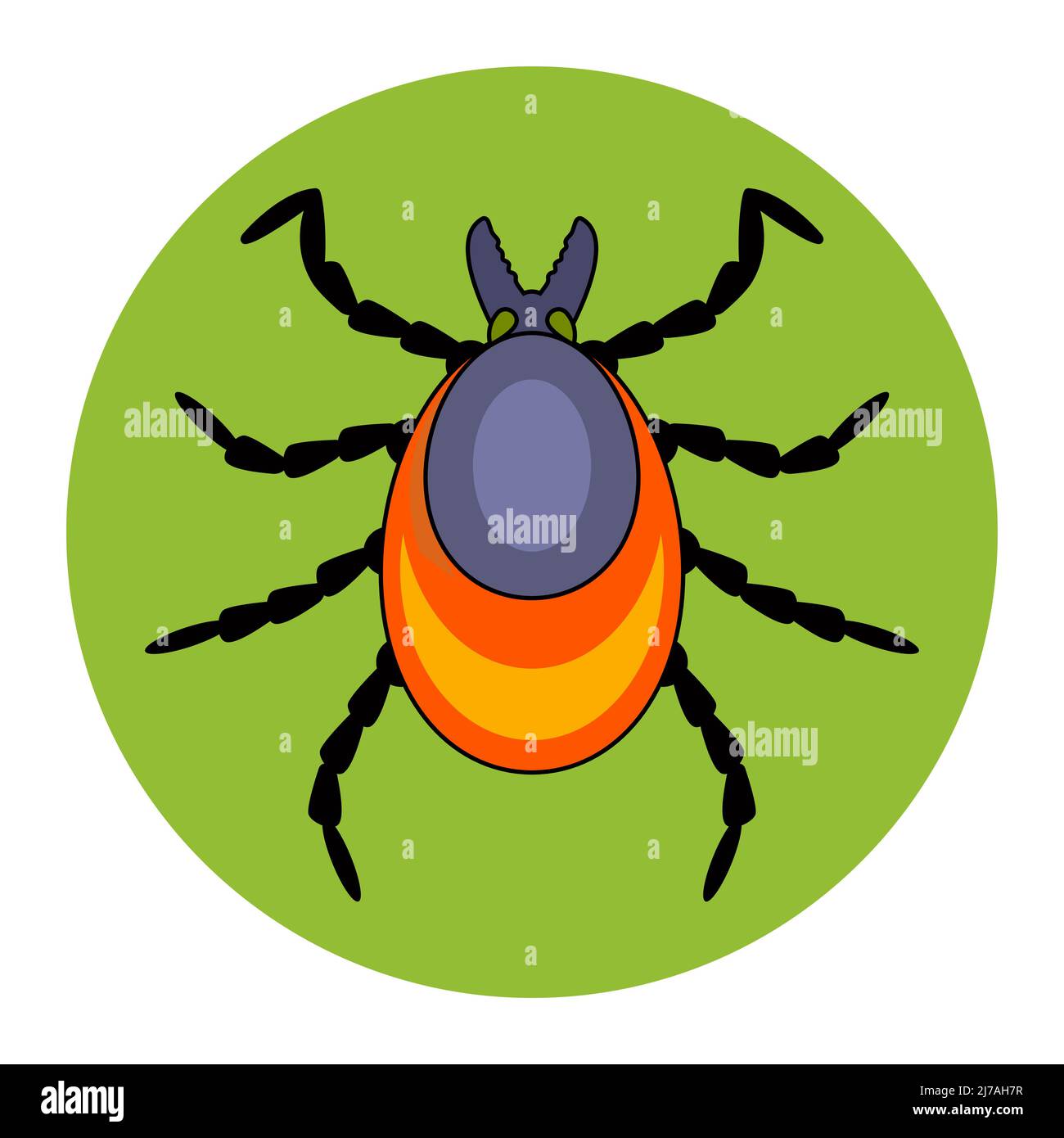 Waldenzephalitis ticken auf weißem Hintergrund. Insekt gefährlich für den Menschen. Flache Vektor-Illustration. Stock Vektor