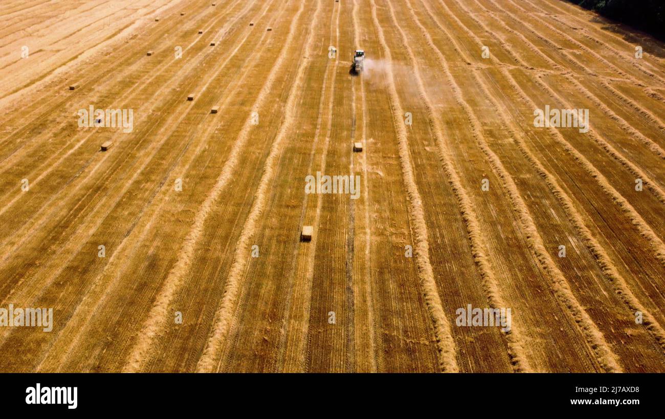 Heuballenschlepper. Traktor erntet Heu an sonnigen Tagen in Ballen auf dem Feld. Stockfoto