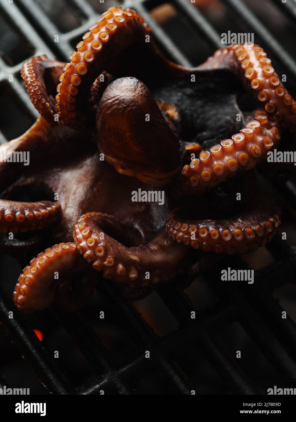 Makroaufnahme. Meeresfrüchte. Großer Oktopus wird gegrillt. Meeresfrüchte Kochen Rezepte, Bio-Lebensmittel, gesunde Lebensweise. Auf dem Foto befinden sich keine Personen. Restaurant, Stockfoto