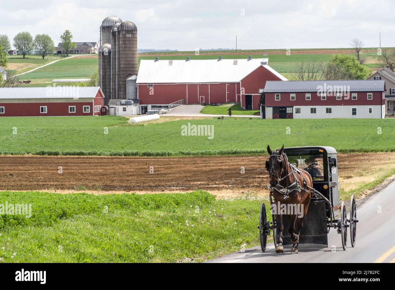 Lancaster County, Pennsylvania-5. Mai 2022: Ein Amish-Buggy fährt auf einer Landstraße in Lancaster County. Stockfoto