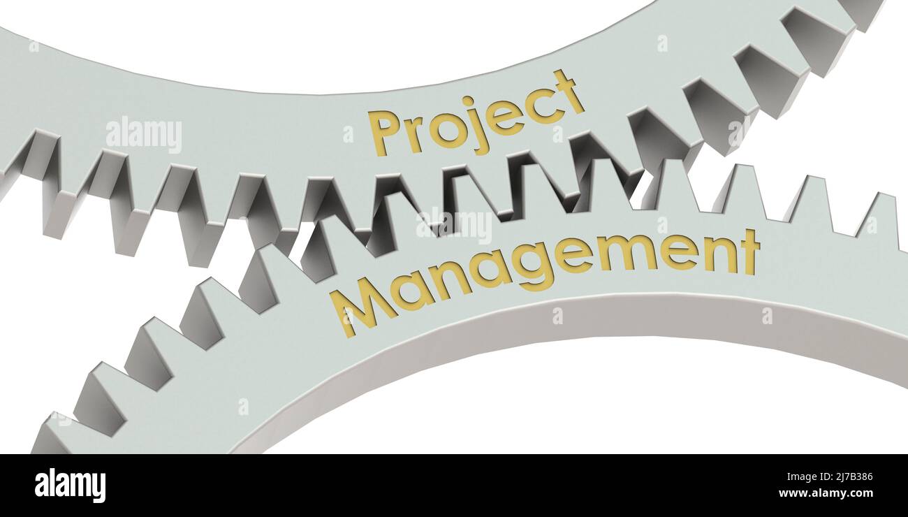 Projektmanagement-Wort auf Zahnrädern, 3D Rendering Stockfoto