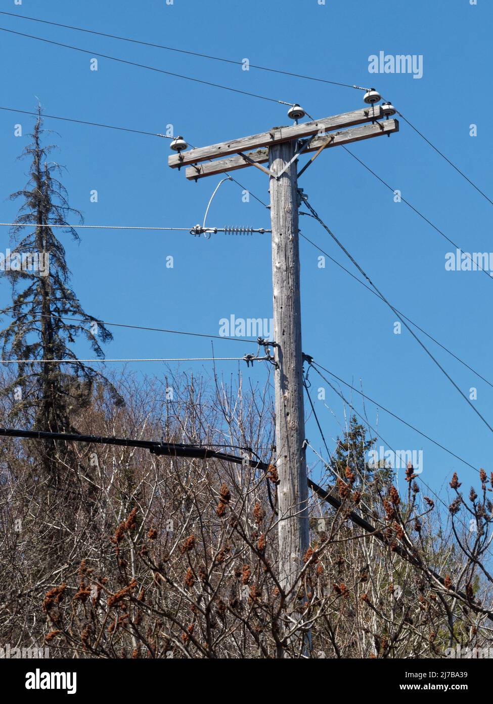 Holz-Strommast für elektrische Drähte und d Kommunikationskabel. Quebec, Kanada Stockfoto