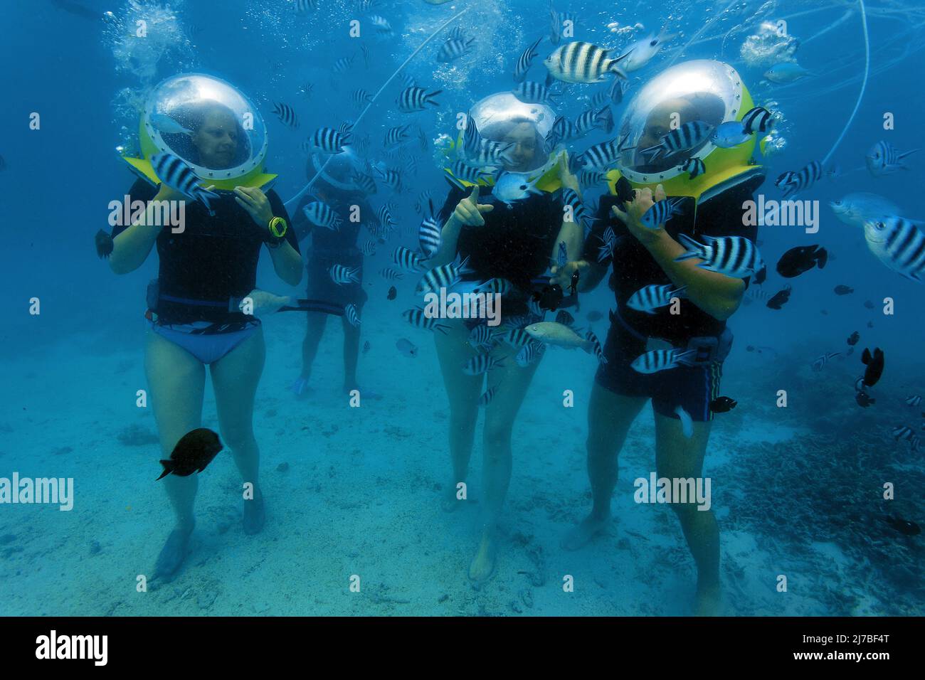 Unterwasserwanderung, Unterwasserwanderung, Touristen mit Tauchhelmen umgeben von Sergeant Major Fischen oder píntanos (Abudefduf saxatilis), Mauritius Stockfoto