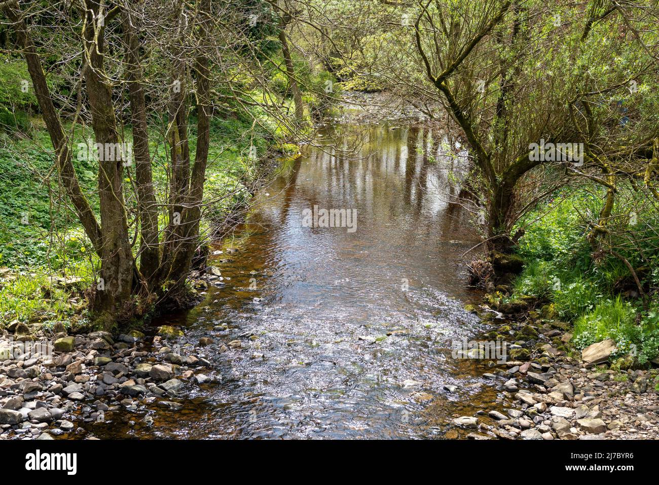 Ein friedlicher Ort an einem Northumbrian River im Frühling. Das Konzept, dem Alltag zu entfliehen. Stockfoto