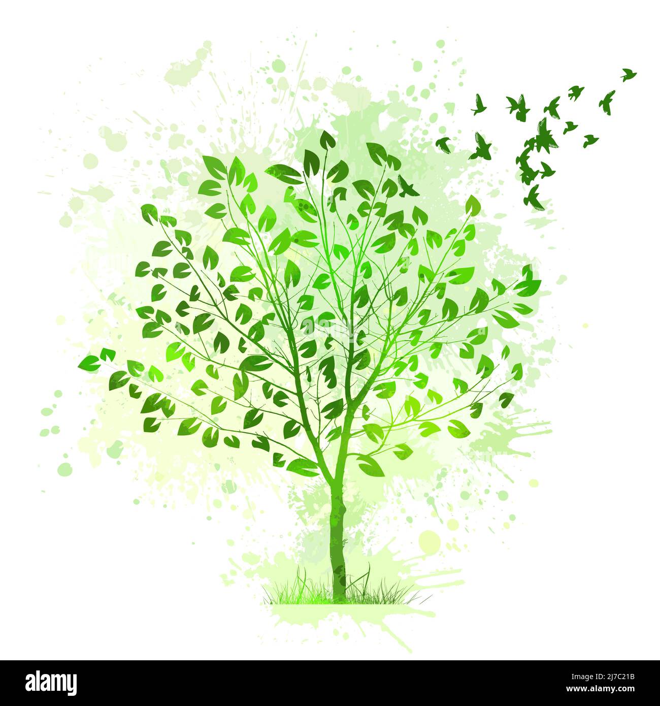 Grüner schöner Baum mit fliegenden Vögeln. Vektor-Silhouette eines Baumes. Stock Vektor