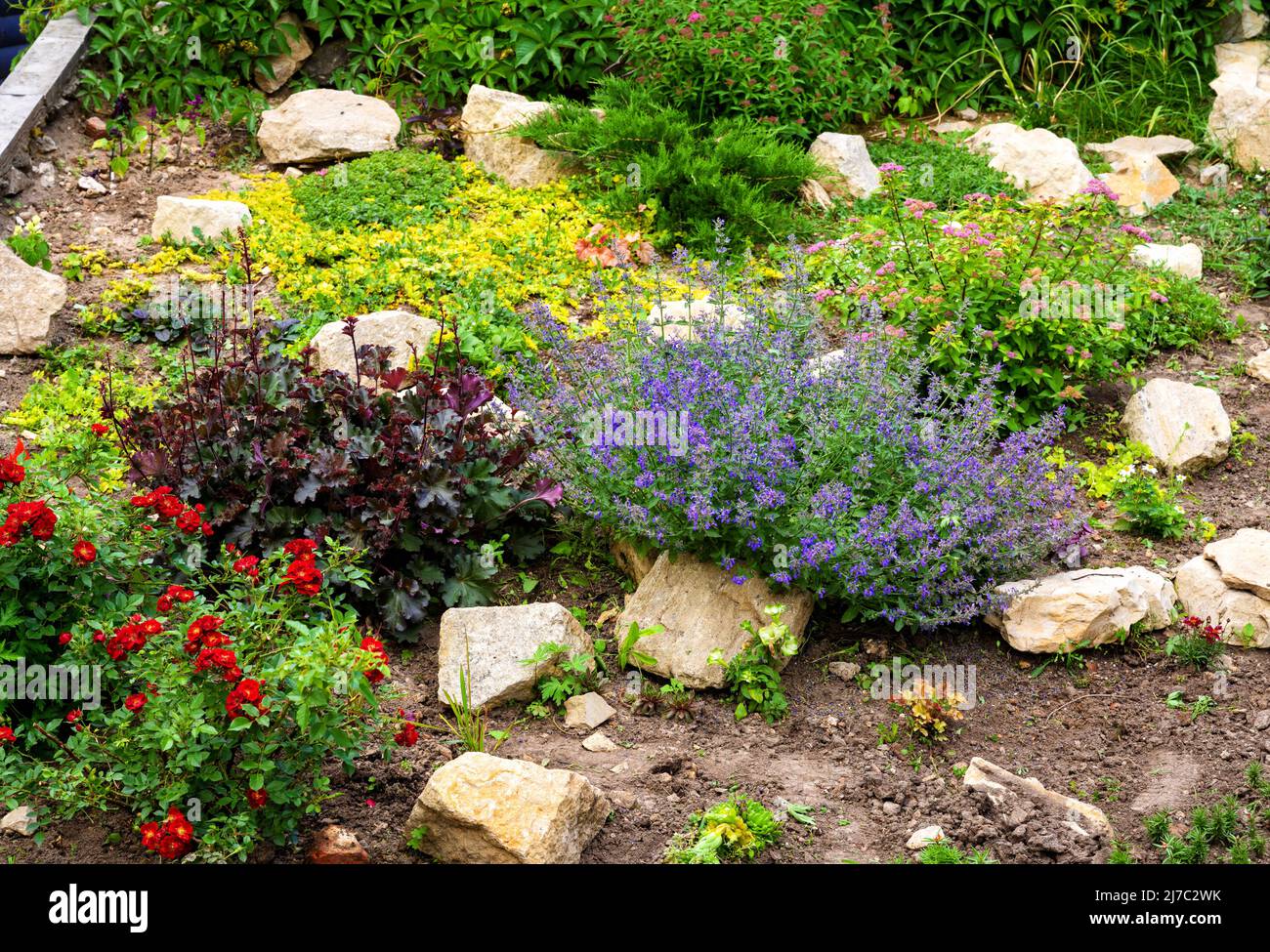 Landschaftsgestaltung im Hausgarten, Landschaftsgestaltung mit Blumen, Pflanzen und Steinen im Sommer. Landschaftlich gestalteter Hinterhof des Wohnhauses. Stockfoto