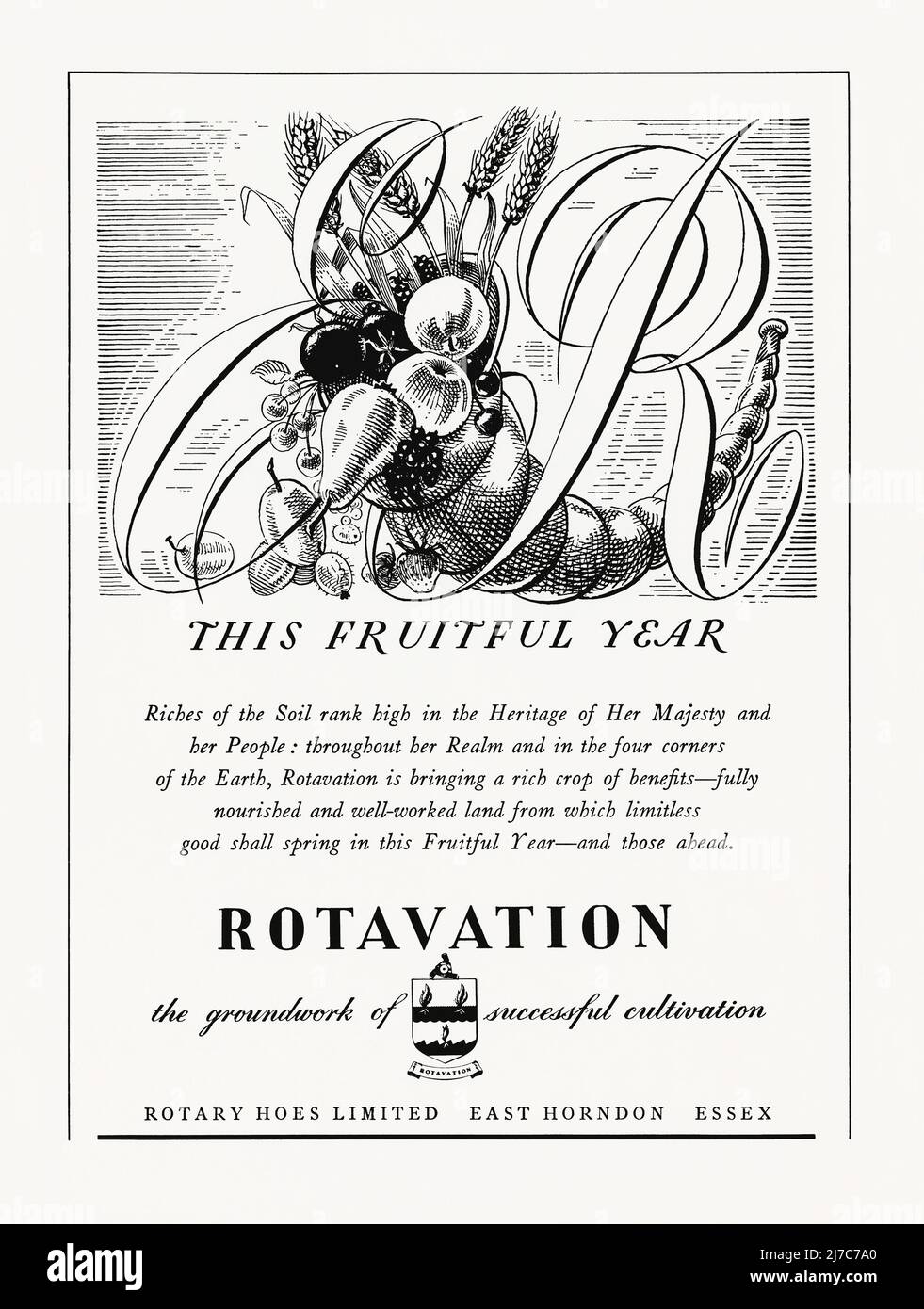 Rotary Hoes Ltd., eine 1953-Anzeige für die Drehhaenhersteller. Die Anzeige erschien in einem Magazin, das im Juni dieses Jahres in Großbritannien veröffentlicht wurde – es handelte sich um eine Sonderausgabe, die anlässlich der Krönung von Königin Elizabeth veröffentlicht wurde. Die stilvolle Liniendarstellung, die die Rotation in der Landwirtschaft fördert, zeigt Obst- und Getreidekulturen – die ‘Ein fruchtbares Jahr’ markieren – umhüllt die Buchstaben ‘er’ (Elizabeth Regina). Die angetriebene Drehkolbenhacke wurde von Arthur Clifford Howard erfunden, der 1912 mit einer Dampftraktormaschine in Gilgandra, NSW, Australien, mit der Drehkolbenbearbeitung experimentierte – Vintage 1950s-Grafiken für redaktionelle Zwecke. Stockfoto