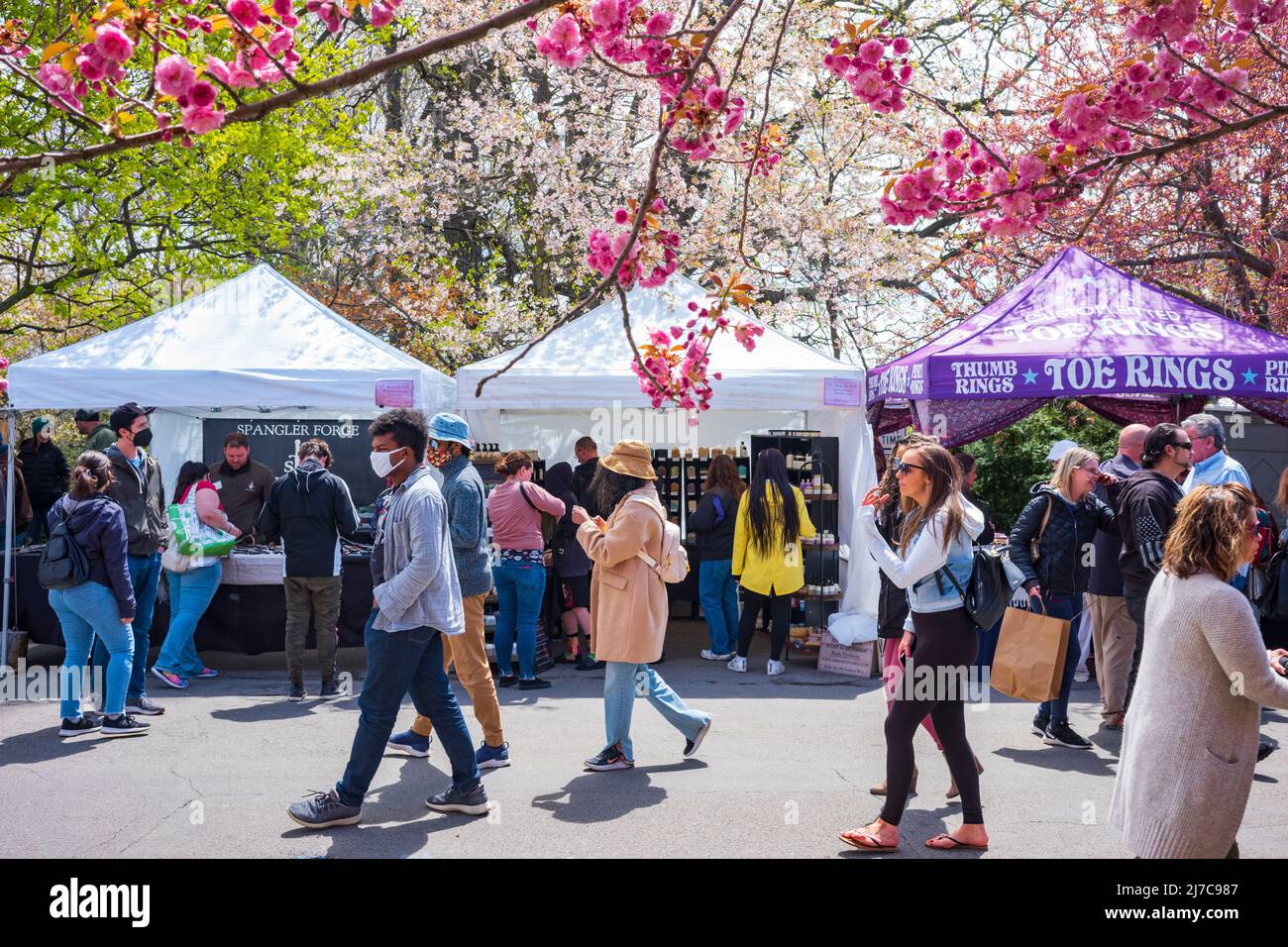 Rochester, NY, USA - 7. Mai 2022: Das Rochester Lilac Festival ist das größte kostenlose Festival, bei dem Besucher einkaufen, Live-Musik hören, essen und erkunden können Stockfoto