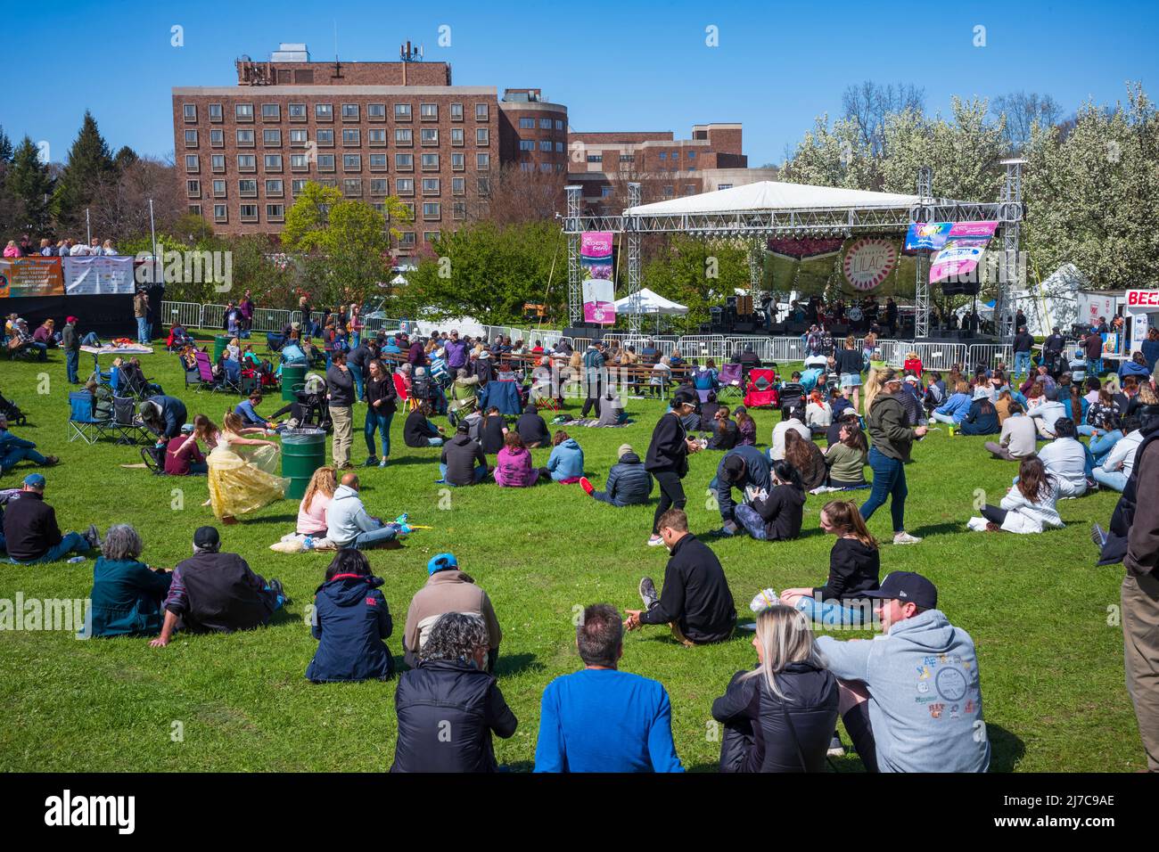 Rochester, NY, USA - 7. Mai 2022: Das Rochester Lilac Festival ist das größte kostenlose Festival, bei dem Besucher einkaufen, Live-Musik hören, essen und erkunden können Stockfoto