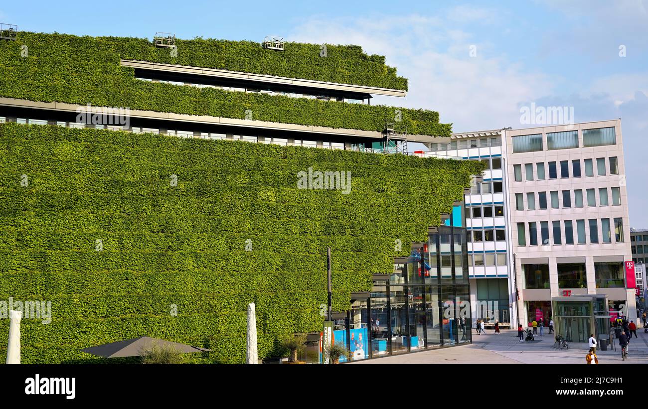Klimafreundliches Gebäude mit Hainbuchenhecken im innovativen Kö-Bogen II von Ingenhoven Architects in der Düsseldorfer Innenstadt. Stockfoto