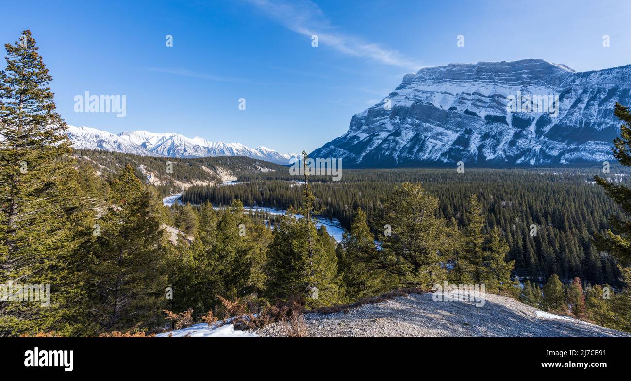 Banff National Park, Canadian Rockies wunderschöne Landschaft. Schneebedeckter Mount Rundle, Tannenwald am verschneiten Wintertag. Stockfoto