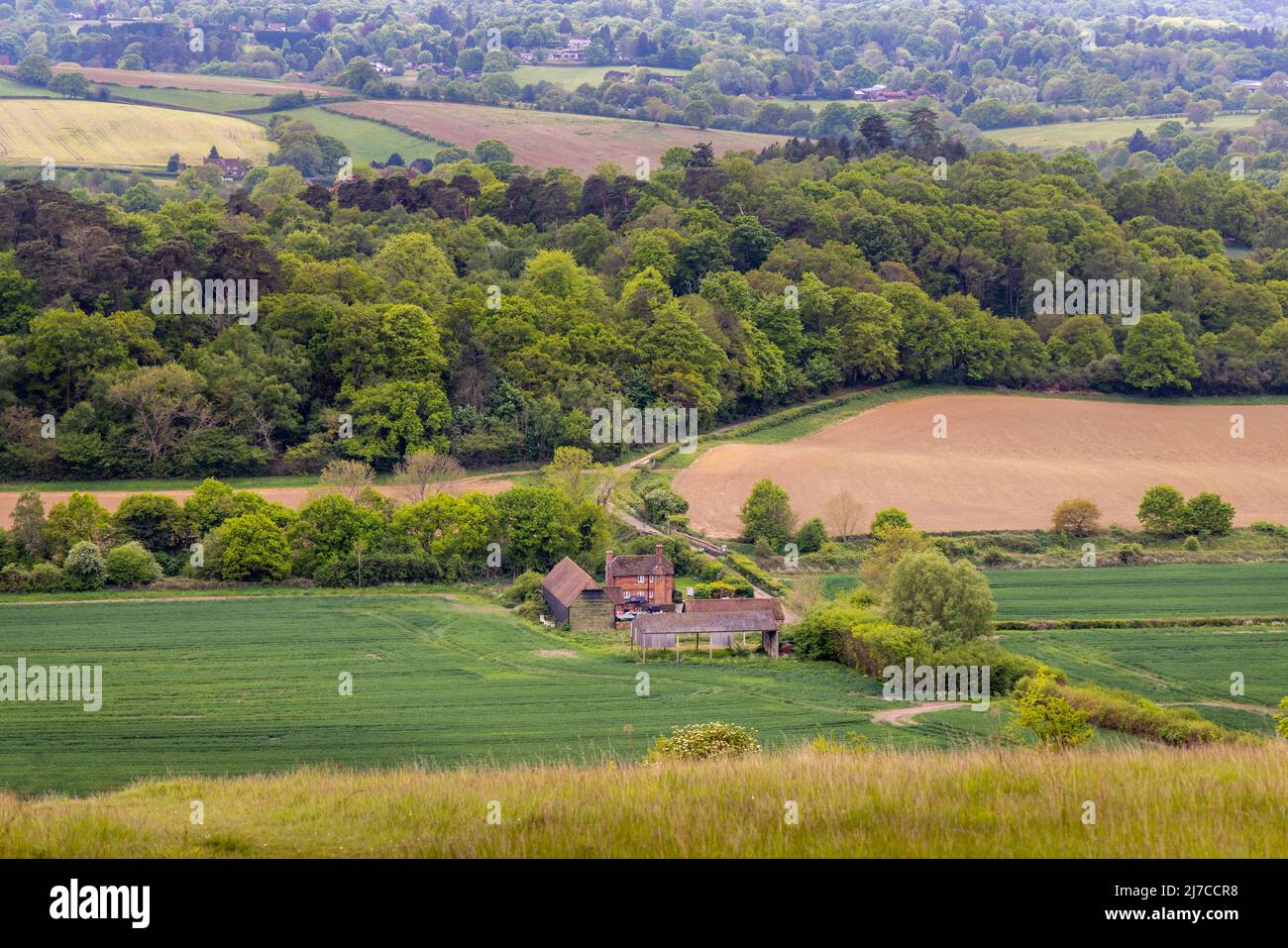 Blick auf die Landschaft und das Ackerland in Blatchford Down auf dem North Downs Way, Abinger Hammer in der Surrey Hills Area of Outstanding Natural Beauty Stockfoto