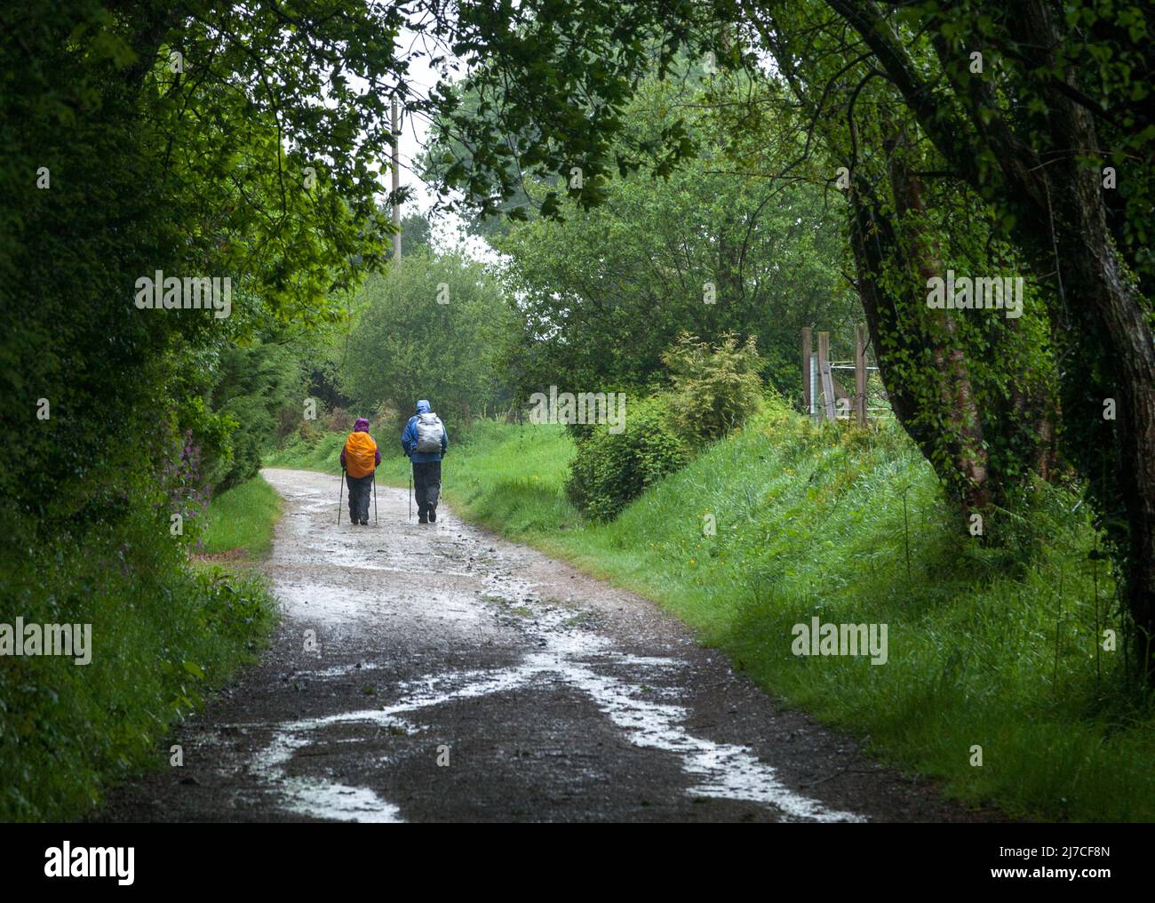 Zwei Rucksacktouristen auf einer unbefestigten Straße Stockfoto