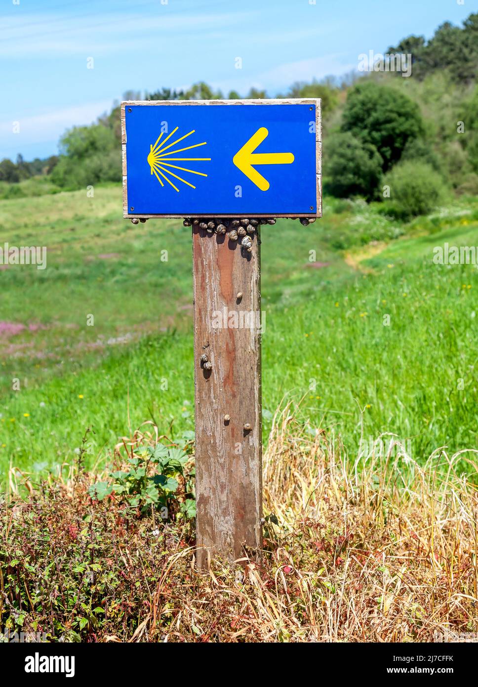 Straßenschild von Camino de Santiago Stockfoto