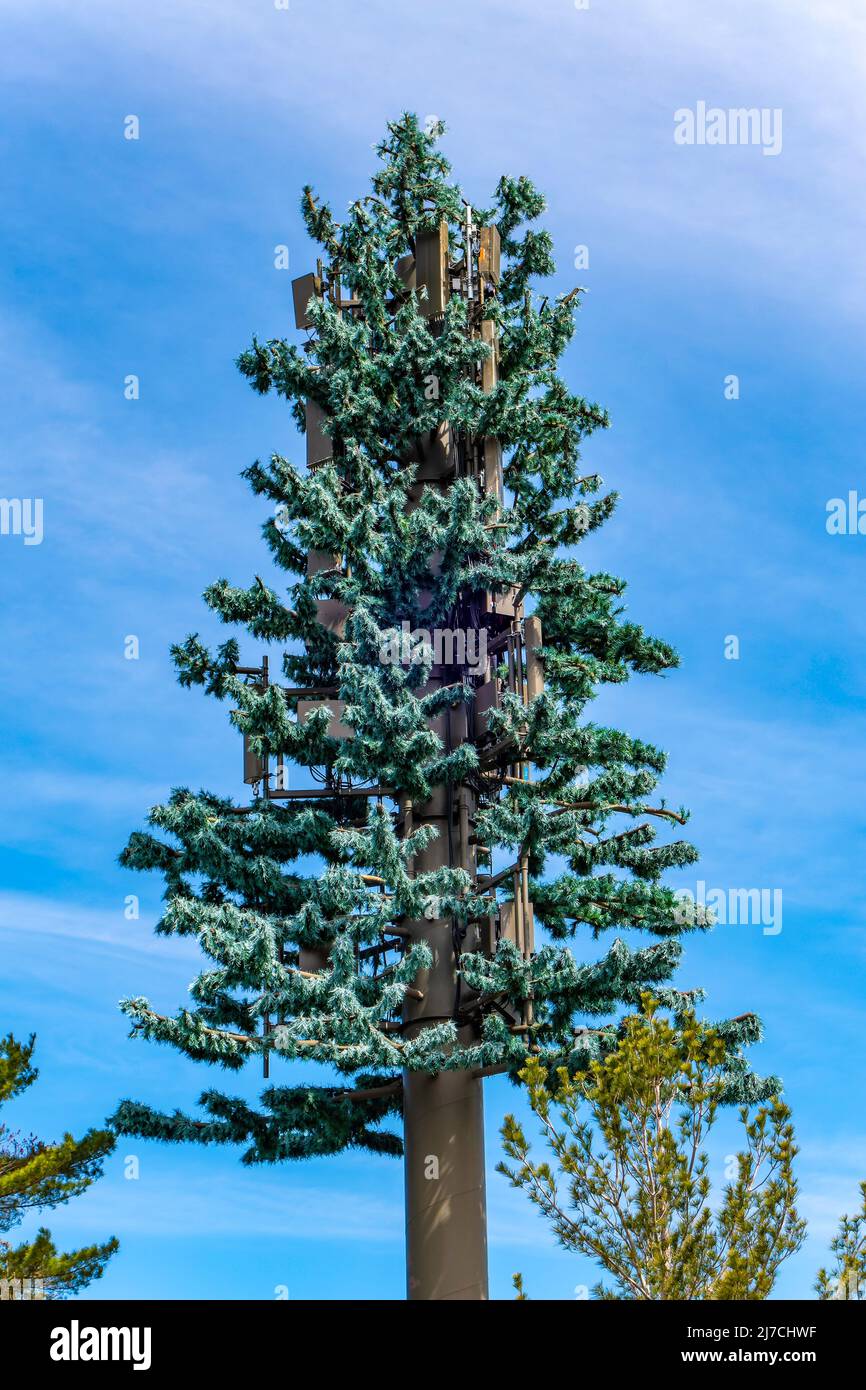 In einigen Gebieten von Ontario, Kanada, werden Telekommunikationstürme manchmal so gebaut, dass sie wie Bäume aussehen, so dass sie sich besser mit dem lokalen Lebensraum A verbinden Stockfoto