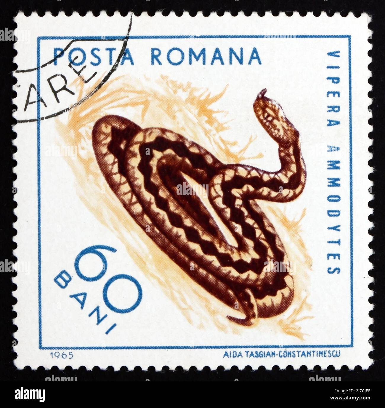 RUMÄNIEN - UM 1965: Eine in Rumänien gedruckte Briefmarke zeigt Sand Viper, Vipera ammodytes, Reptile, um 1965 Stockfoto