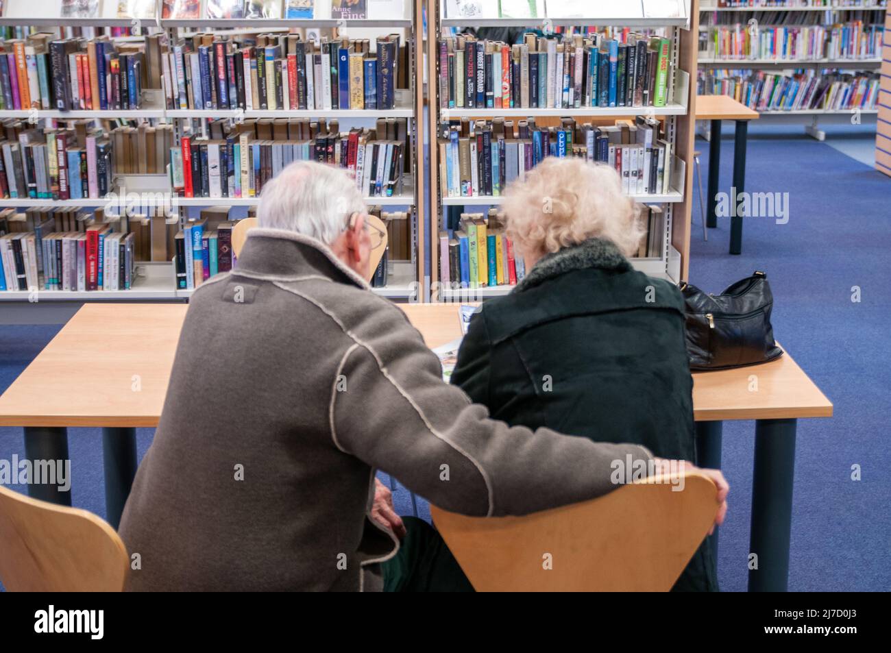 Elderley Paar liest zusammen in einer lokalen Bibliothek Stockfoto