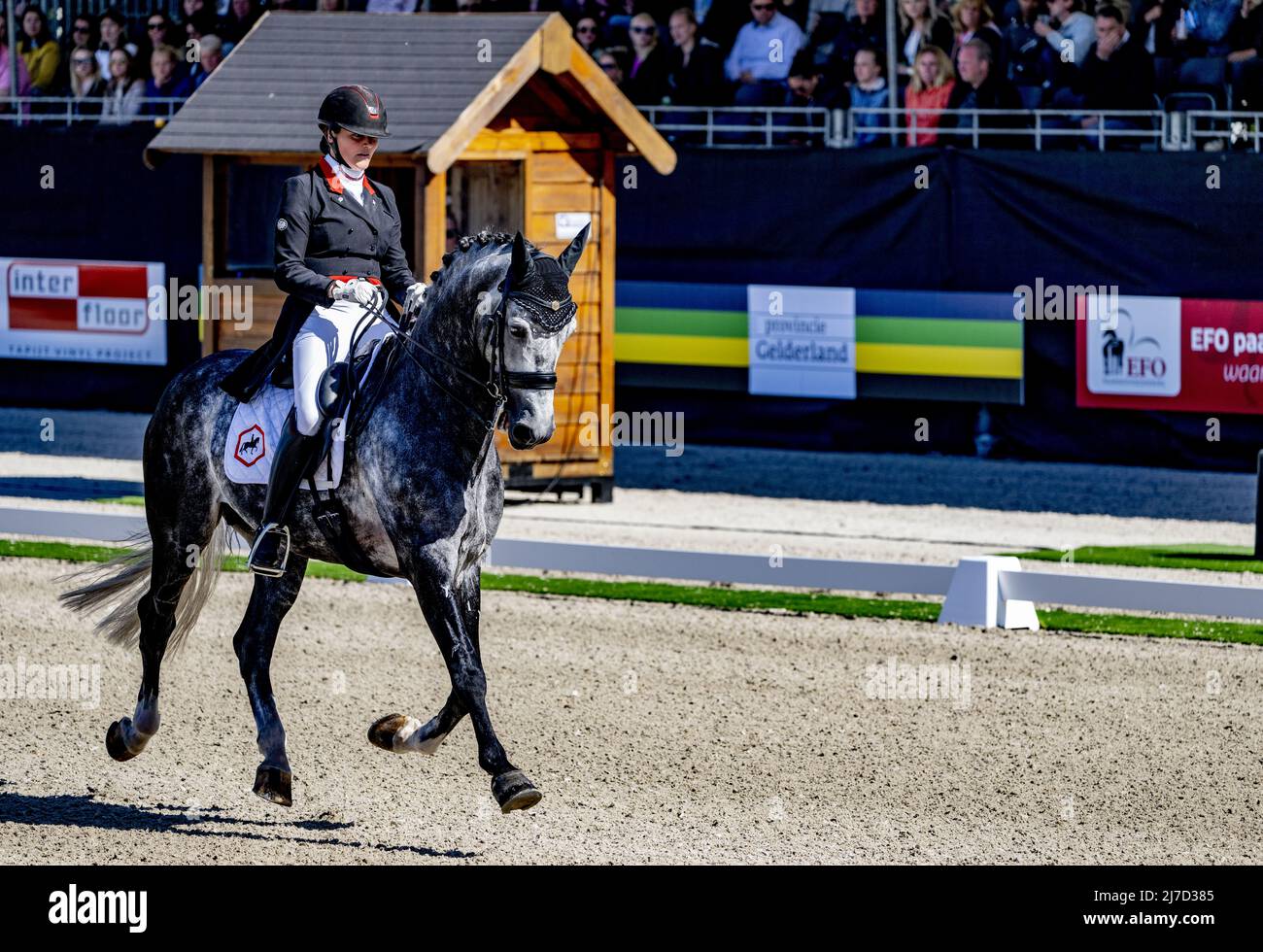 2022-05-08 16:27:31 ERMELO - Thamar Zweistra beendete Sekunde mit Hexagon's Ich Weiss während der niederländischen Dressur-Meisterschaft. ANP ROBIN UTRECHT niederlande Out - belgien Out Stockfoto