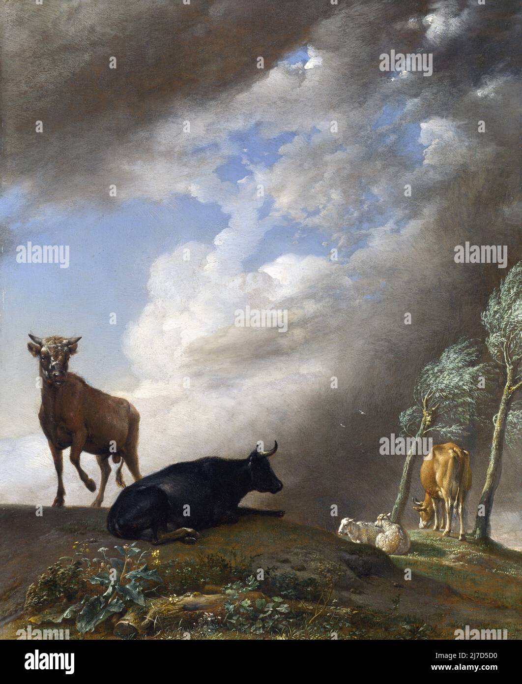 Rinder und Schafe in einer stürmischen Landschaft von Paulus Potter (1625-1654 ), Öl auf Eiche, 1647 Stockfoto