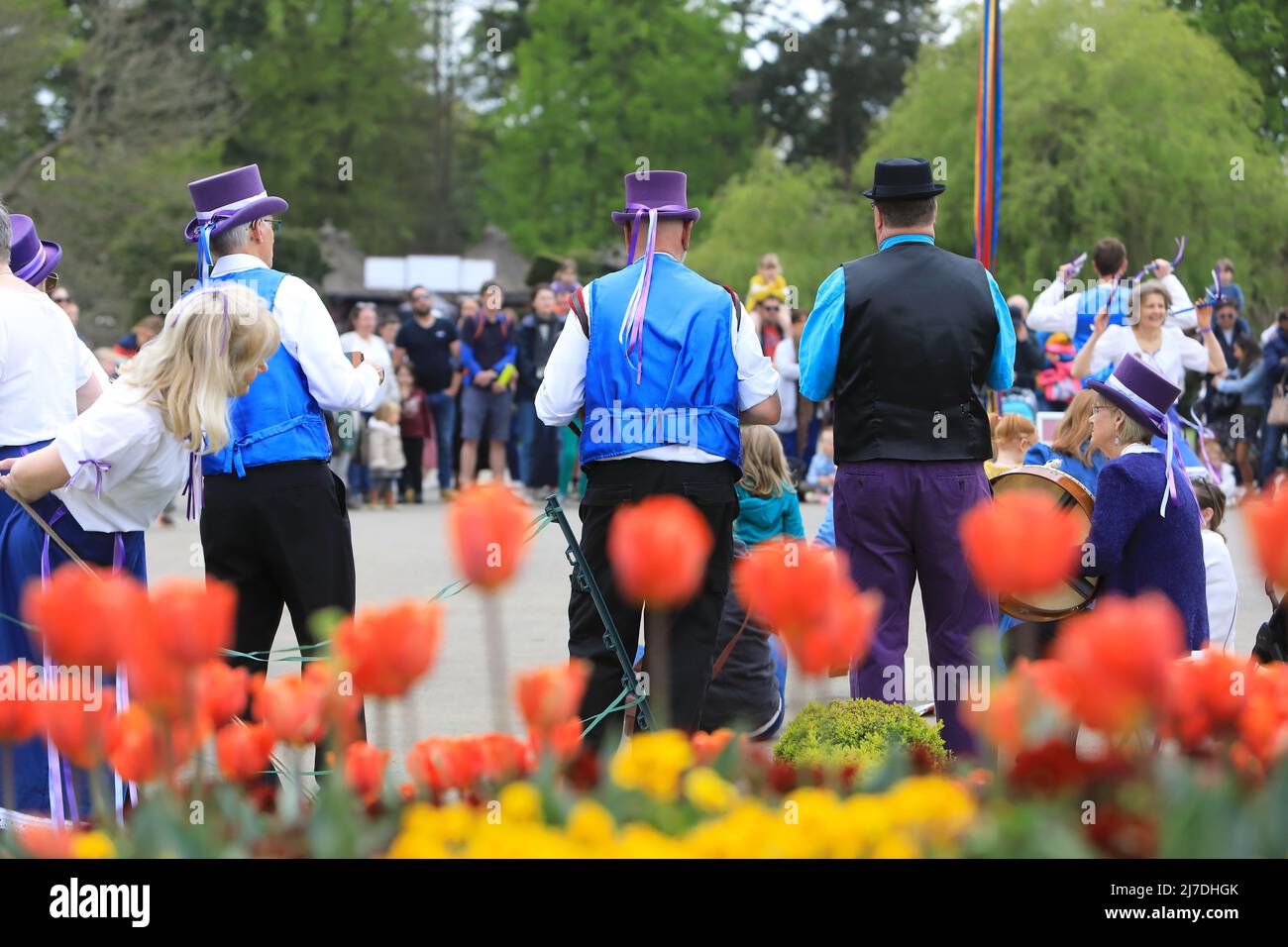 Edenbridge Morris-Tänzer treten an einem elenden Maiwochenende 2022 in Kent, Großbritannien, im Hever Castle auf Stockfoto