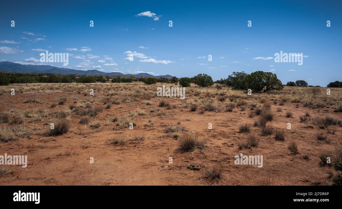Weitwinkel-Landschaftsfoto der heißen Wüste in New Mexico mit Scheuerbürste im Vordergrund und Bergen im Hintergrund unter einem strahlend blauen Himmel. Stockfoto
