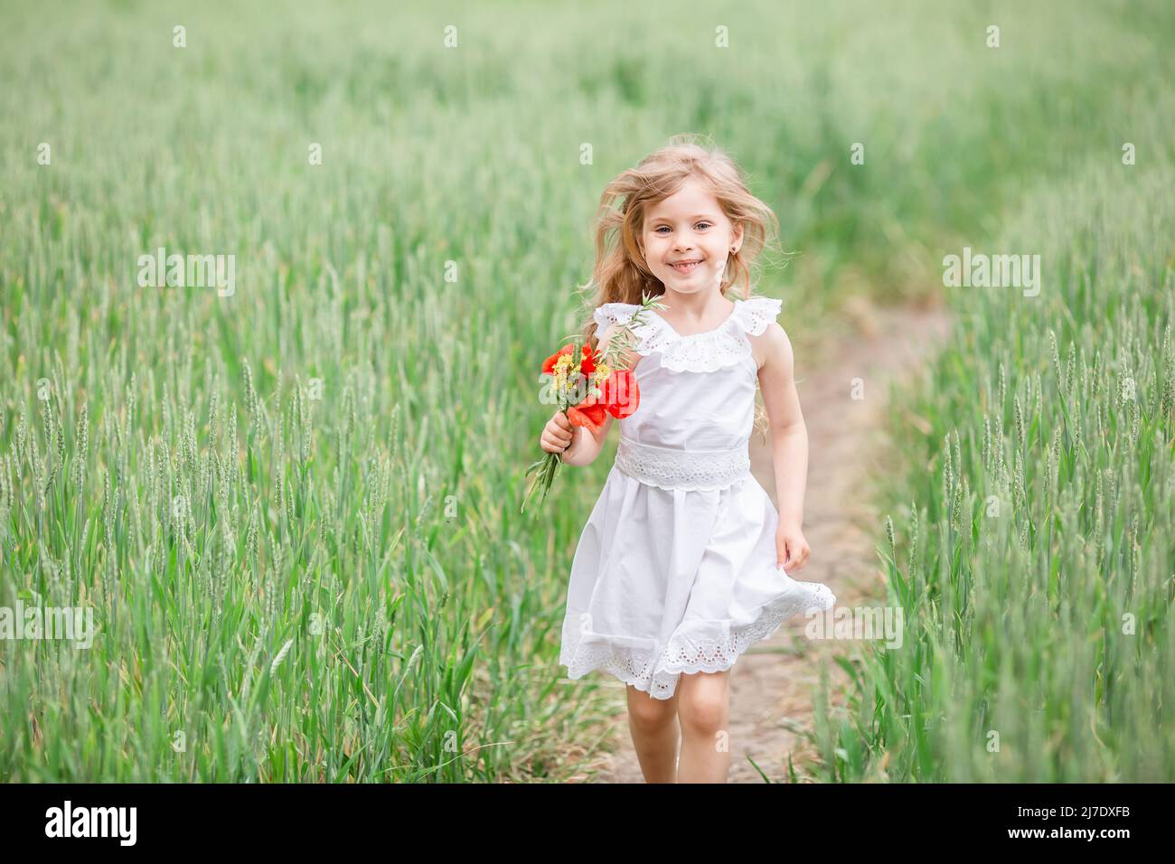 Portrait kleines Mädchen blond auf bei Sonnenuntergang im Feld. Kleines Mädchen, das im Sommer auf dem Feld läuft Stockfoto