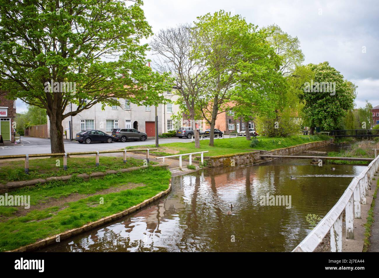 Der Fluss Leven, der im Zentrum der Stadt Stokesley North Yorkshire bei Frühlingssonne durch den Wald fließt Stockfoto