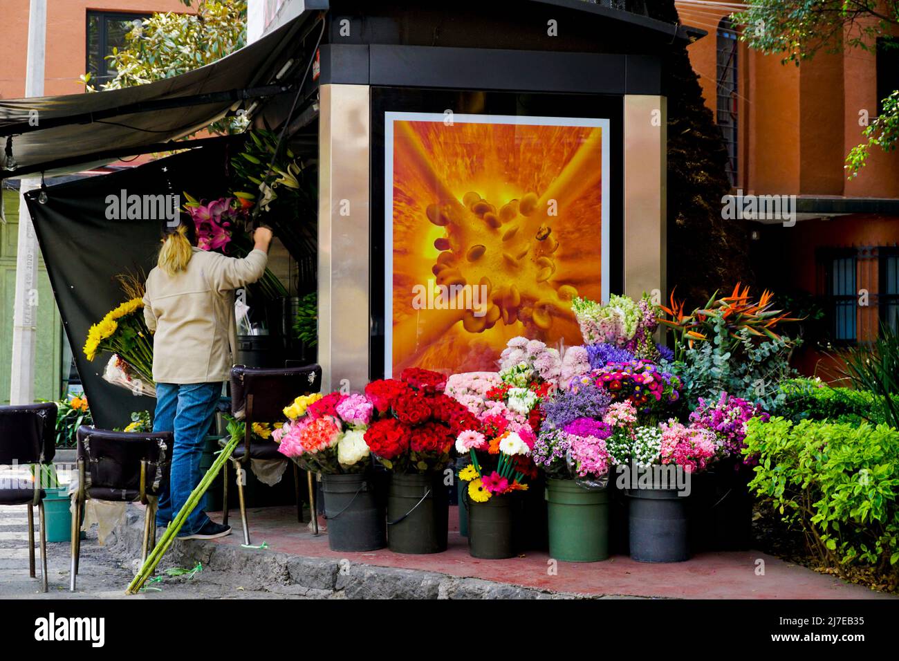 Blumenstand im Colonia Condesa-Viertel von Mexiko-Stadt, Mexiko. Stockfoto