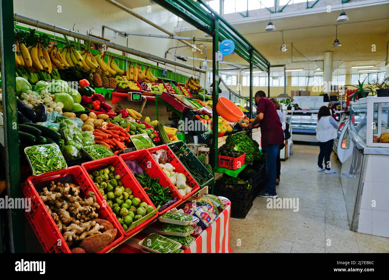 Mercado Michoacan im wohlhabenden Colonia Condesa-Viertel, Mexiko-Stadt, Mexiko Stockfoto