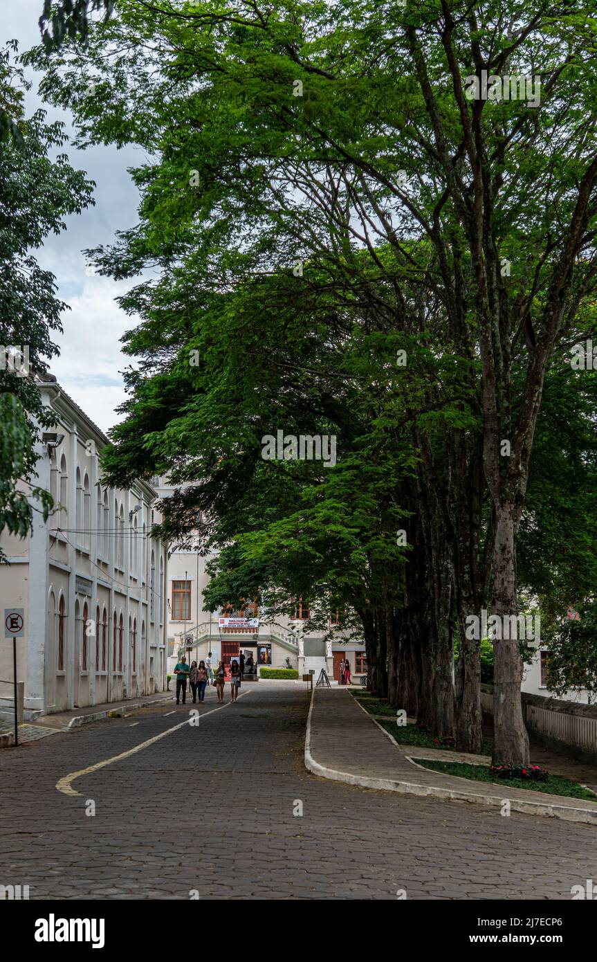Eingangsbereich der Universität Sao Joao del Rei, umgeben von großen Bäumen und einigen alten Kolonialgebäuden in der Nähe im historischen Zentrum. Stockfoto