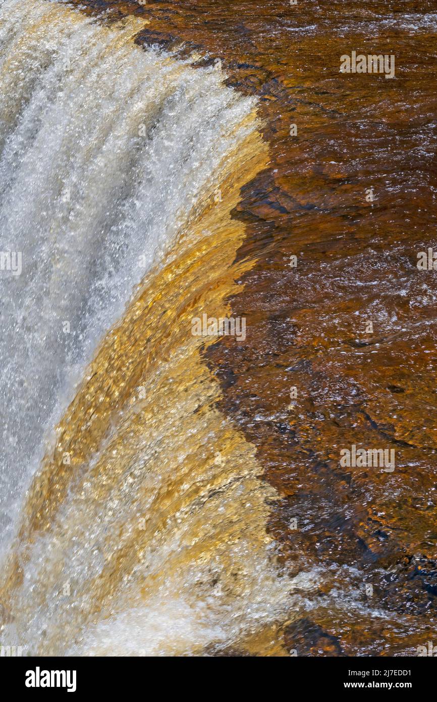 Das Wasser stürzt über den Brink an den Upper Taquamenon Falls in Upper Michigan Stockfoto