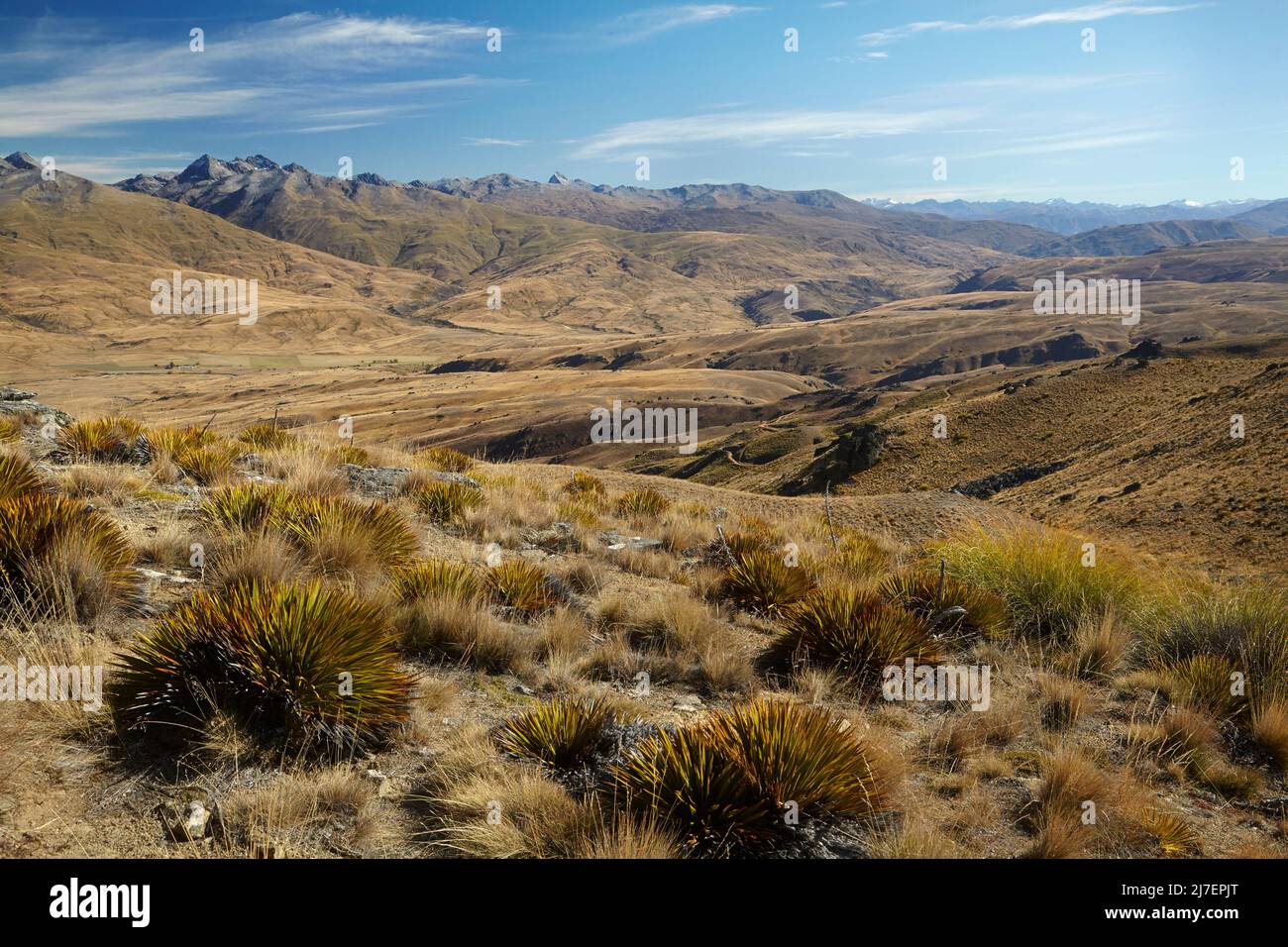 Nevis Valley und Hector Mountains vom Kopuwai Conservation Area, Old Woman Range, Central Otago, South Island, Neuseeland aus gesehen Stockfoto