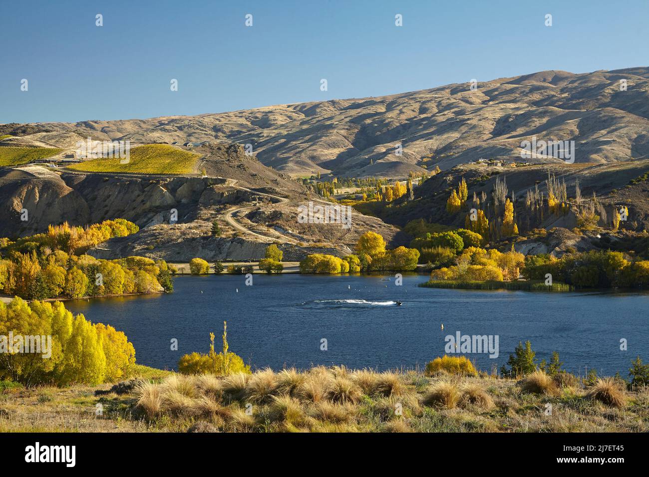 Herbstfarbe am Bannockburn Inlet, Lake Dunstan, in der Nähe von Cromwell, Central Otago, South Island, Neuseeland Stockfoto
