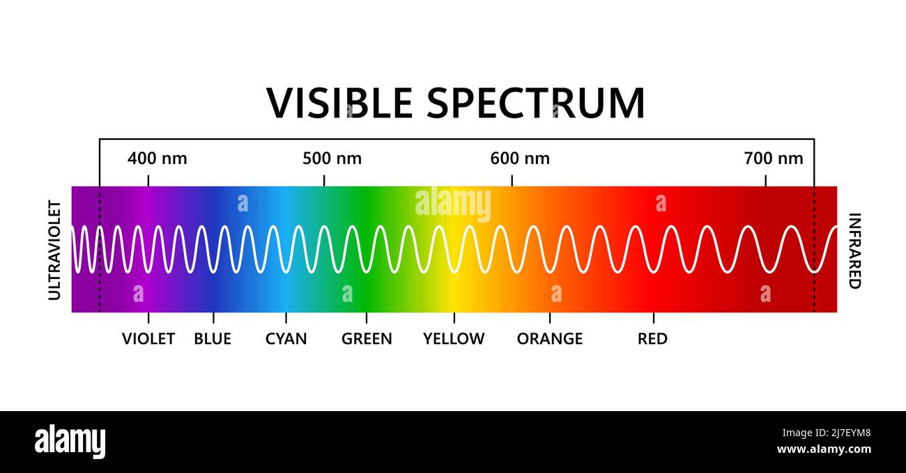 Sichtbares Lichtspektrum, infared und ultraviolett. Wellenlänge des optischen Lichts. Elektromagnetisches sichtbares Farbspektrum für das menschliche Auge. Gradientendiagramm Stock Vektor