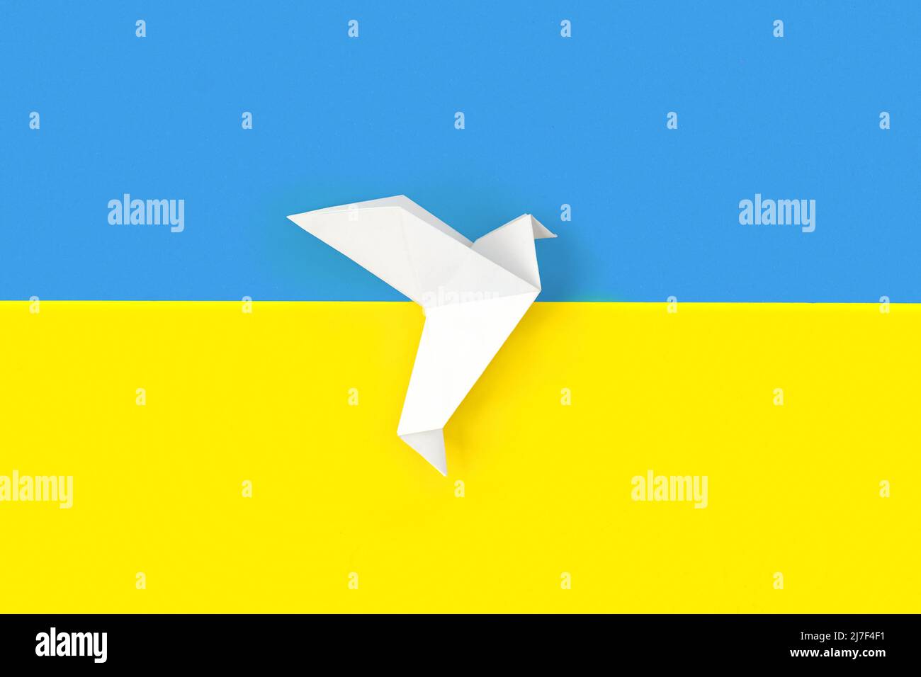 Zwei weiße Origami-Papiertauben auf Farben der Flagge der Ukraine. Das Konzept des Friedens zwischen zwei Staaten. Symbol des Friedens auf blauem und gelbem Hintergrund. Stockfoto
