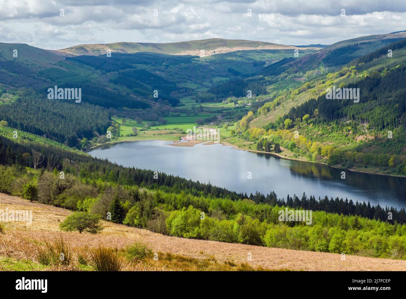 Blick hinunter auf den Talybont Reservoir und das Tal sowie auf die Waldgebiete mit immergteen und Laubbäumen Stockfoto