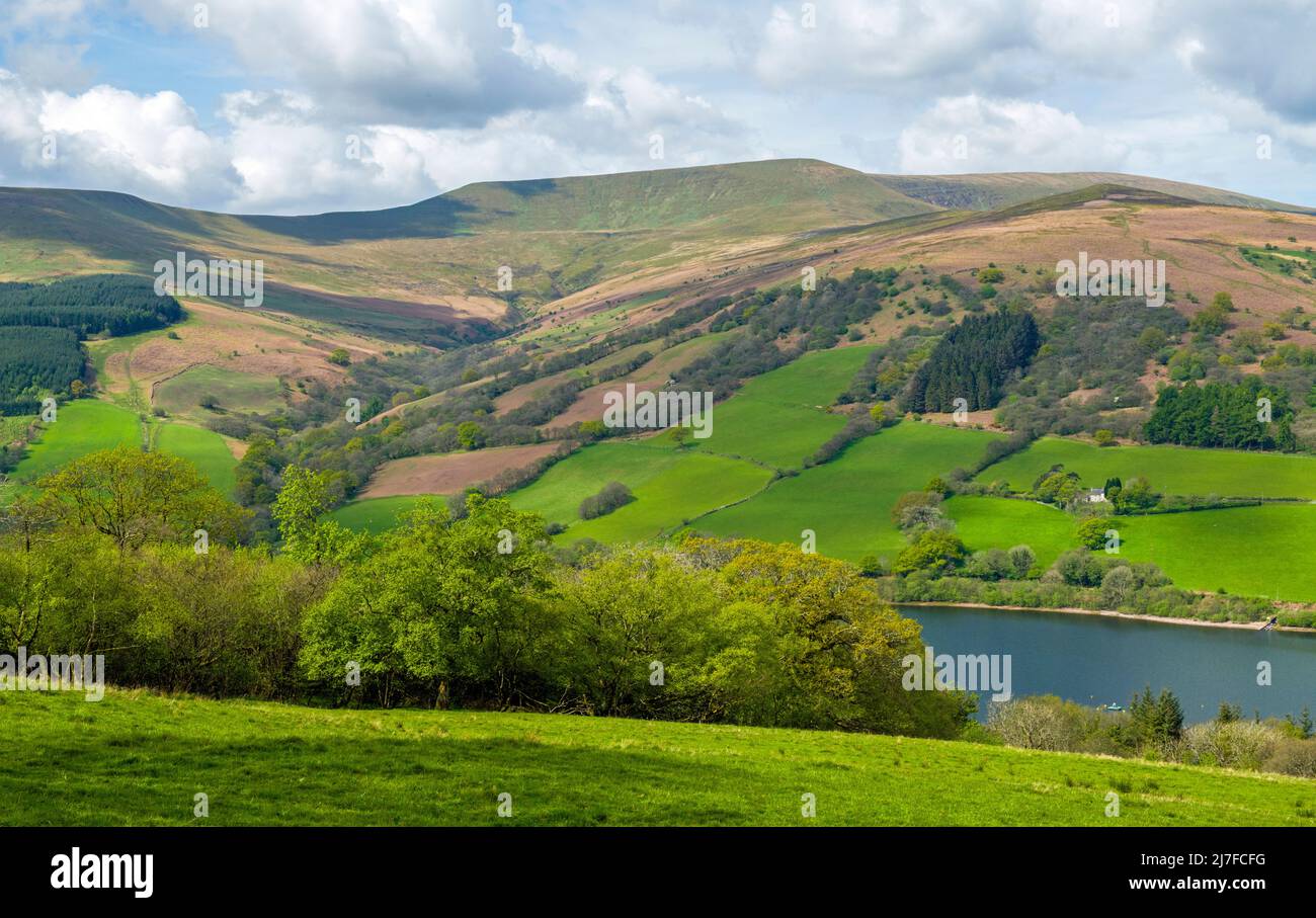 Ein Blick auf den Berg Waun Rydd über das Talybont Valley in den Central Brecon Beacons an einem sonnigen Maitag Stockfoto