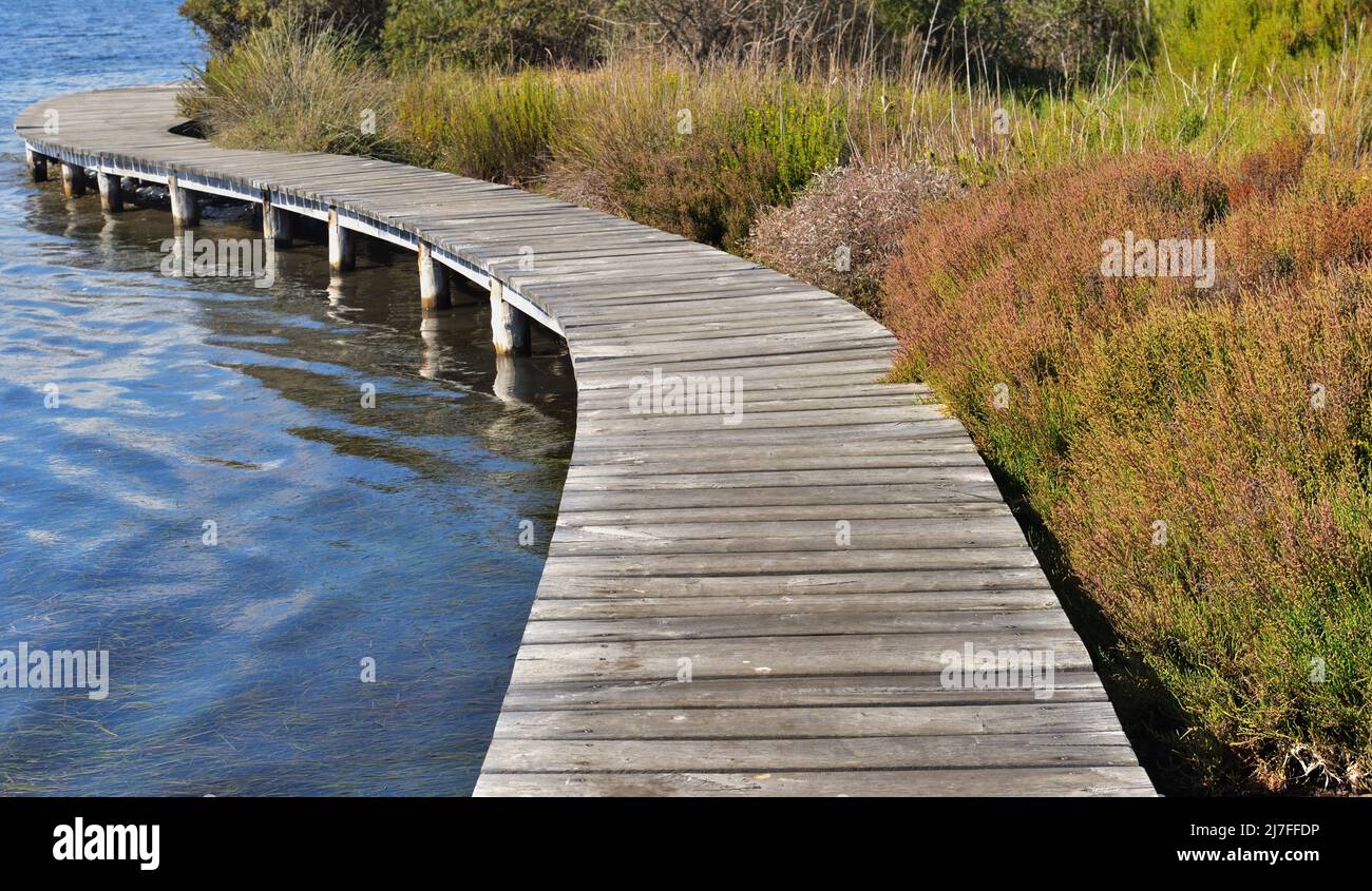 Holzsteg über einem teich Fotos und Bildmaterial in hoher Auflösung