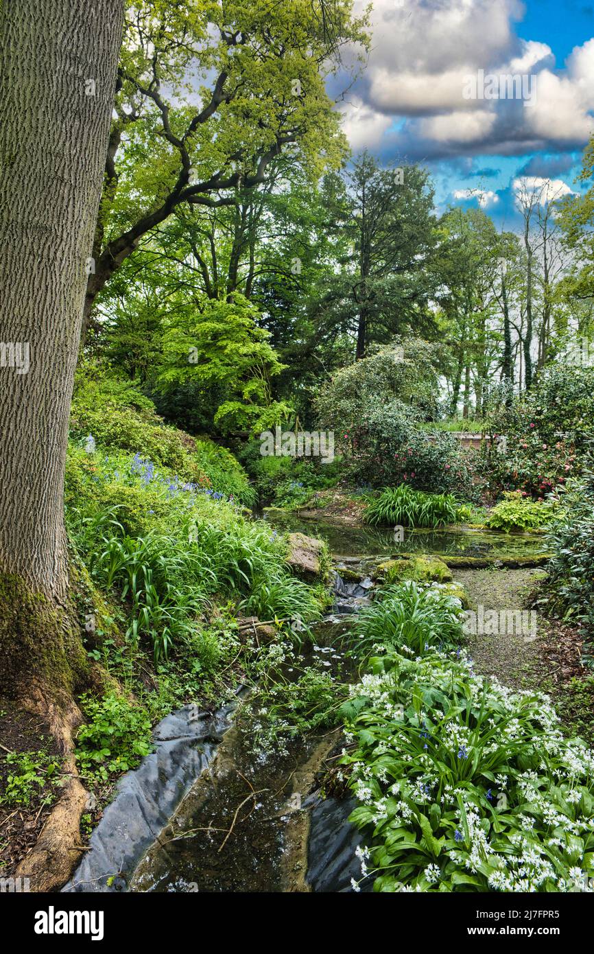 Die Dell, Dorfold Hall Stockfoto