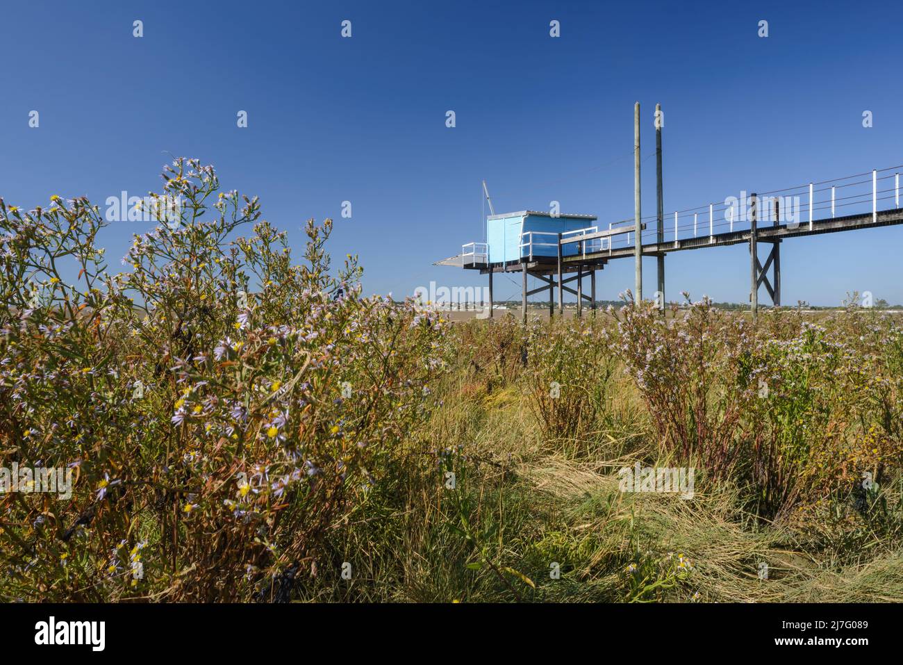 Charente Maritime, Frankreich in der Nähe von La Rochelle traditionelle Fischerhütte, die an den Ufern des Gezeitensalz-Sumpfgebietes an der Westküste Frankreichs liegt Stockfoto
